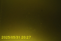 Img20250531_202736.jpg