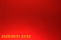 Img20250531_205236.jpg