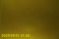 Img20250531_210236.jpg