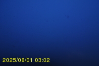 Img20250601_030237.jpg