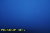 Img20250601_030737.jpg