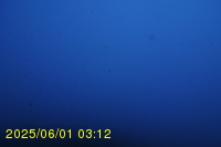 Img20250601_031237.jpg
