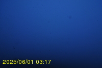 Img20250601_031737.jpg