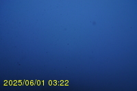 Img20250601_032237.jpg