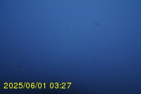 Img20250601_032737.jpg