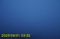 Img20250601_033237.jpg