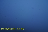 Img20250601_033737.jpg