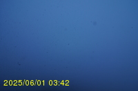 Img20250601_034237.jpg