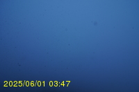 Img20250601_034737.jpg