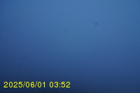 Img20250601_035237.jpg