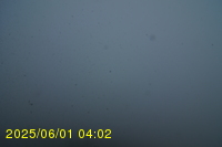 Img20250601_040237.jpg