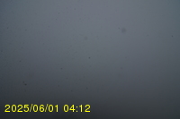 Img20250601_041238.jpg