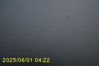 Img20250601_042238.jpg