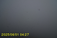 Img20250601_042738.jpg