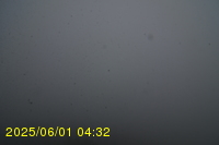 Img20250601_043238.jpg