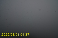 Img20250601_043738.jpg