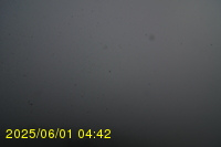 Img20250601_044238.jpg