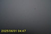 Img20250601_044738.jpg