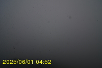 Img20250601_045238.jpg