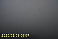 Img20250601_045738.jpg