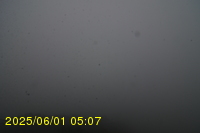 Img20250601_050738.jpg