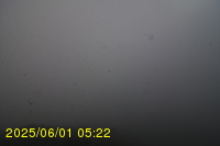 Img20250601_052238.jpg