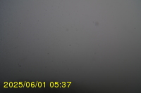 Img20250601_053738.jpg