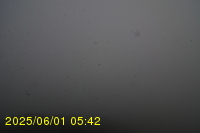 Img20250601_054238.jpg