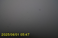 Img20250601_054738.jpg