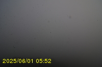 Img20250601_055238.jpg