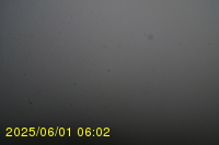 Img20250601_060238.jpg