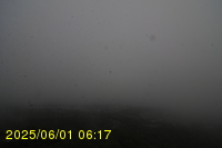 Img20250601_061738.jpg