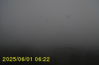 Img20250601_062238.jpg