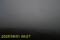 Img20250601_062738.jpg