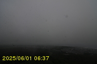 Img20250601_063738.jpg