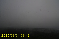 Img20250601_064238.jpg