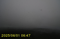 Img20250601_064738.jpg