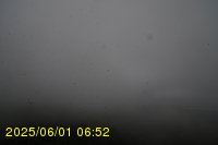 Img20250601_065238.jpg