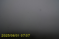 Img20250601_070738.jpg