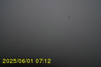 Img20250601_071238.jpg
