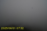 Img20250601_073238.jpg