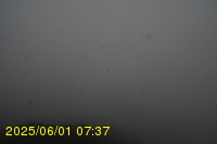 Img20250601_073738.jpg