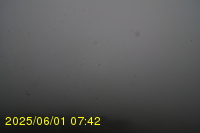 Img20250601_074238.jpg