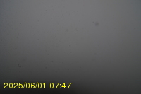 Img20250601_074738.jpg