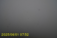Img20250601_075238.jpg