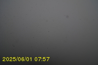 Img20250601_075738.jpg