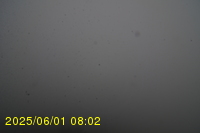 Img20250601_080238.jpg