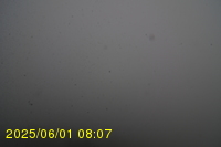 Img20250601_080738.jpg