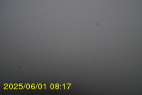 Img20250601_081738.jpg
