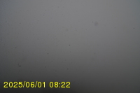 Img20250601_082238.jpg